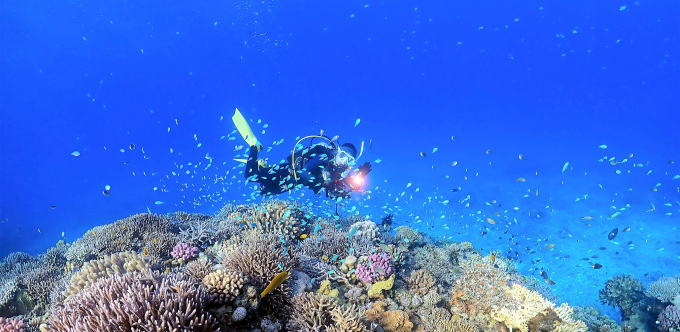 水納島はサンゴ礁豊かな楽園の海が広がります。